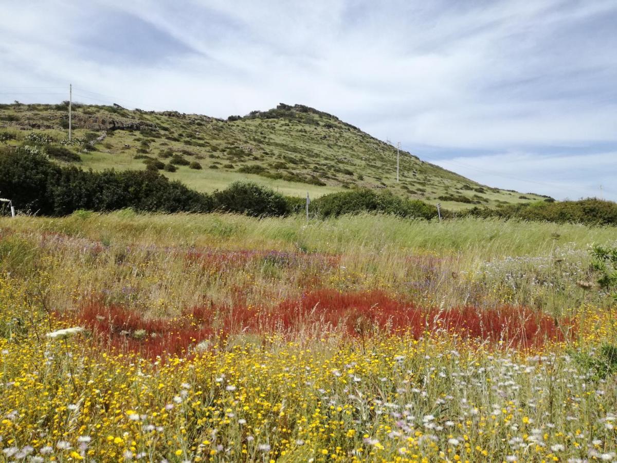 La Calla Bianca Torre dei Corsari Eksteriør bilde