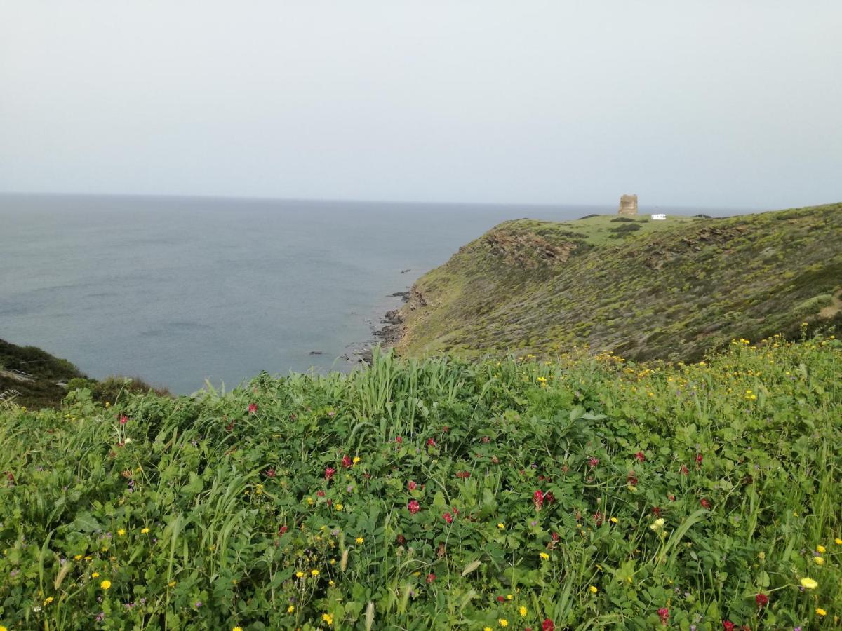 La Calla Bianca Torre dei Corsari Eksteriør bilde